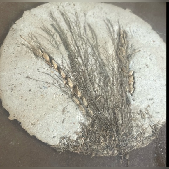 Handmade, paper, fiber art. Natural floral theme. Gorgeous texture and colors. - Picture 6 of 7